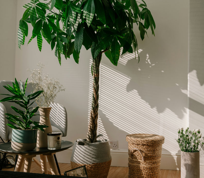 Decorating Guide