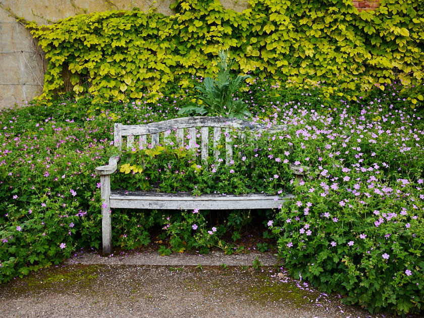 Sir Thomas and Lady Dixon Park