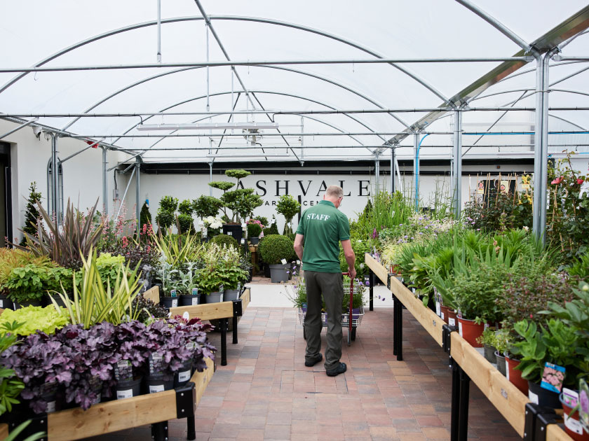 Ashvale Farm Shop & Tea Room