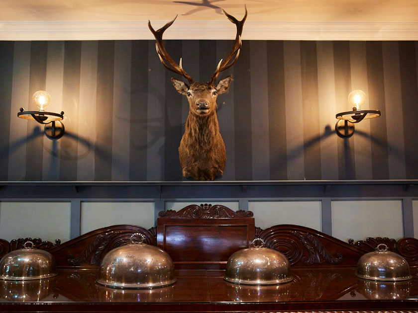 The Rabbit Hotel
