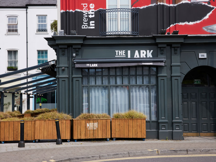 The Lark