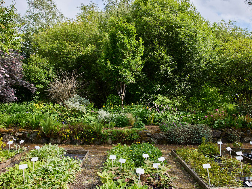 Ballyrobert Gardens